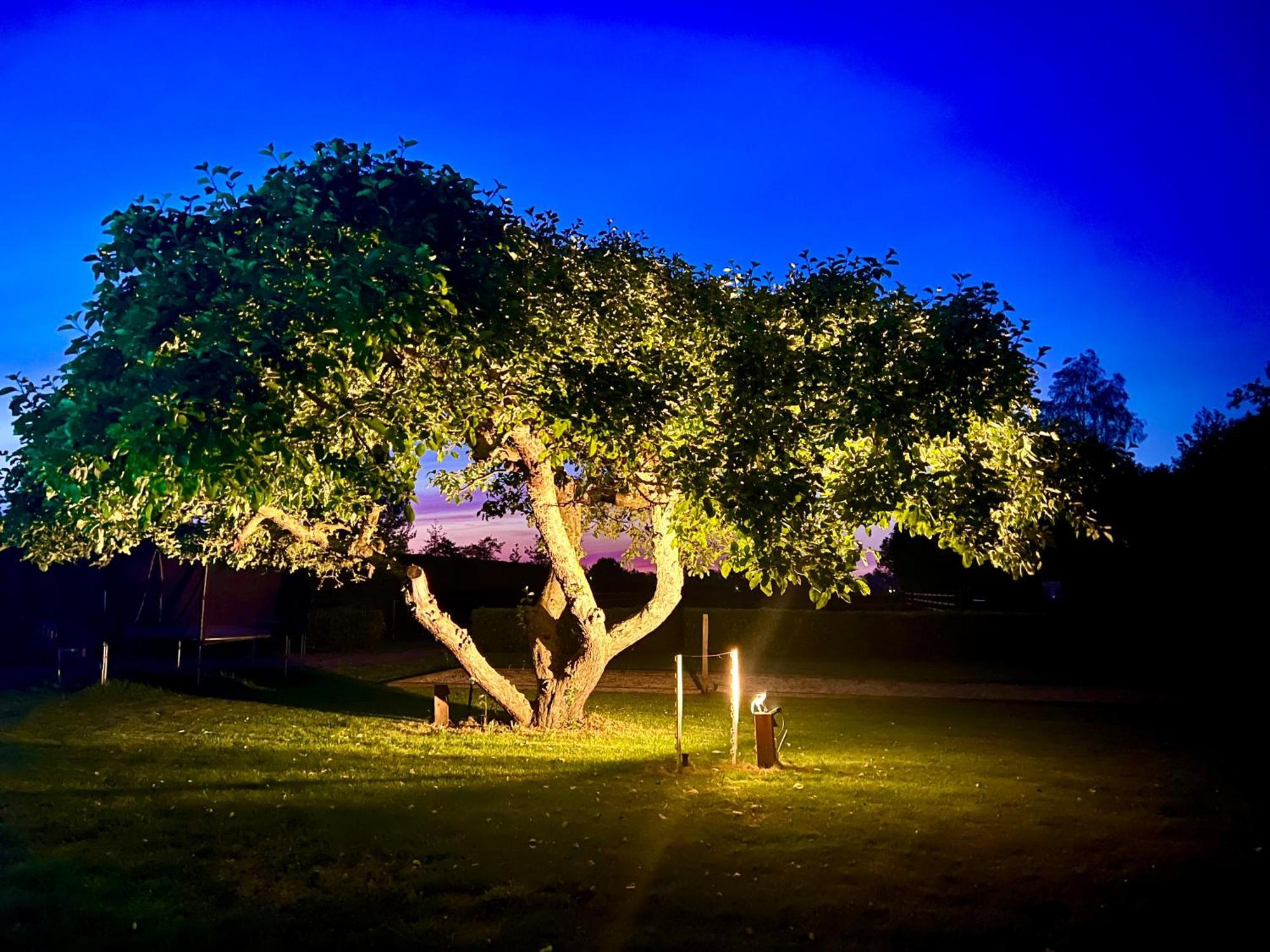 كاتْسهوفيل Bed And Breakfast Roodkapje المظهر الخارجي الصورة